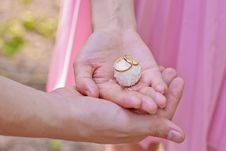 Wedding Rings On The Candy Stock Images