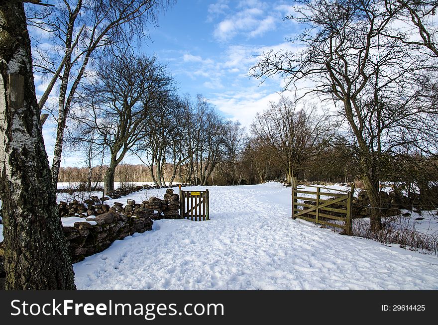 Open gate in a rural winter landscape with snow, stonewalls and trees,