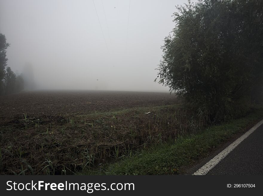 Field on a foggy day in the italian countryside framed by trees