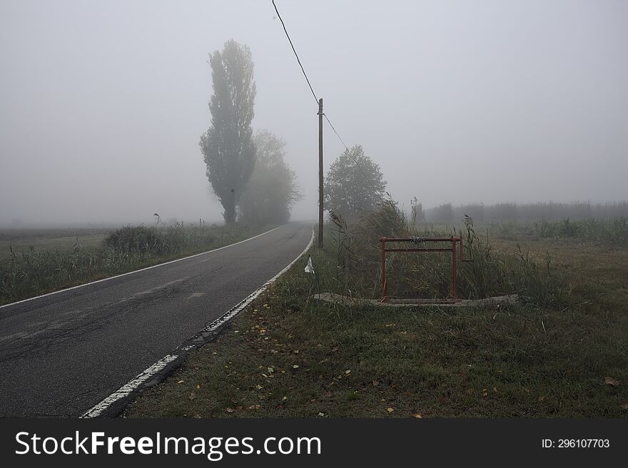 Narrow Road Bordered By A Few Trees And Trenches With Weirs On A Foggy Day In The Italian Countryside