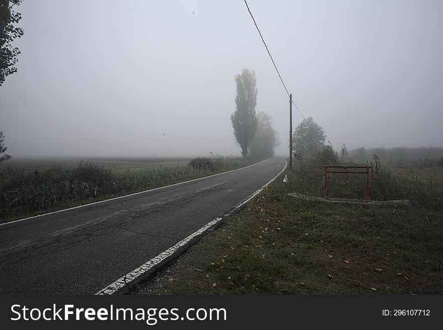 Narrow road bordered by a few trees and trenches with weirs on a foggy day in the italian countryside