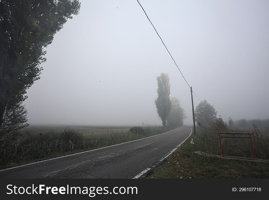 Narrow road bordered by a few trees and trenches with weirs on a foggy day in the italian countryside