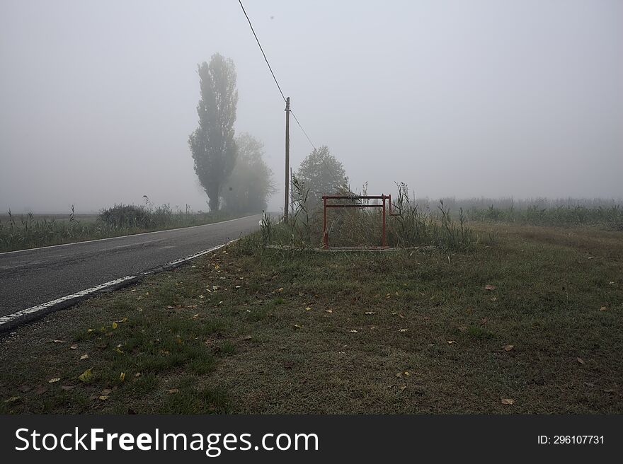 Narrow road bordered by a few trees and trenches with weirs on a foggy day in the italian countryside