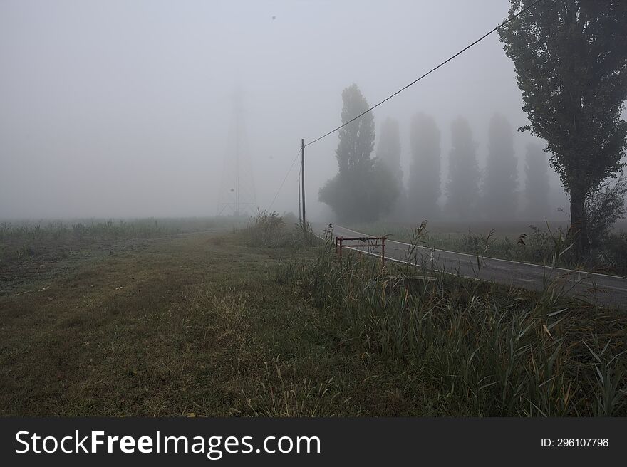 Narrow Road Bordered By A Few Trees And Trenches With Weirs On A Foggy Day In The Italian Countryside