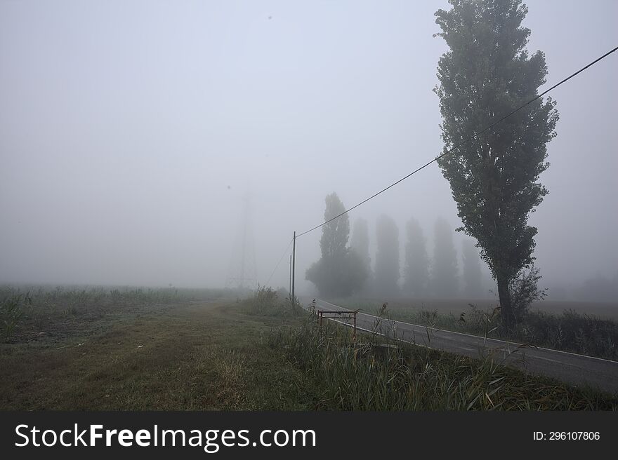 Narrow Road Bordered By A Few Trees And Trenches With Weirs On A Foggy Day In The Italian Countryside