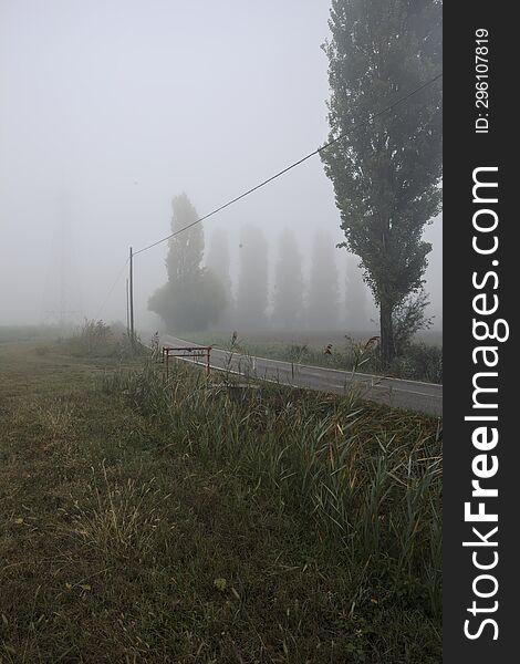 Narrow Road Bordered By A Few Trees And Trenches With Weirs On A Foggy Day In The Italian Countryside