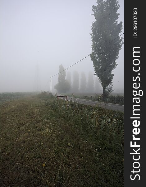 Narrow road bordered by a few trees and trenches with weirs on a foggy day in the italian countryside