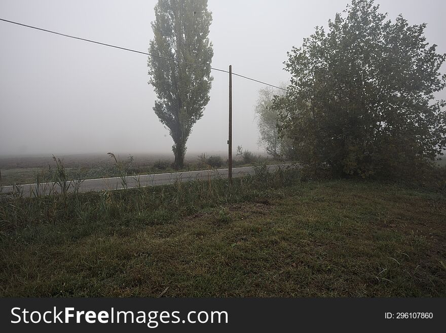 Road Next To Fields With Trees At Its Edge On A Foggy Day In The Italian Countryside