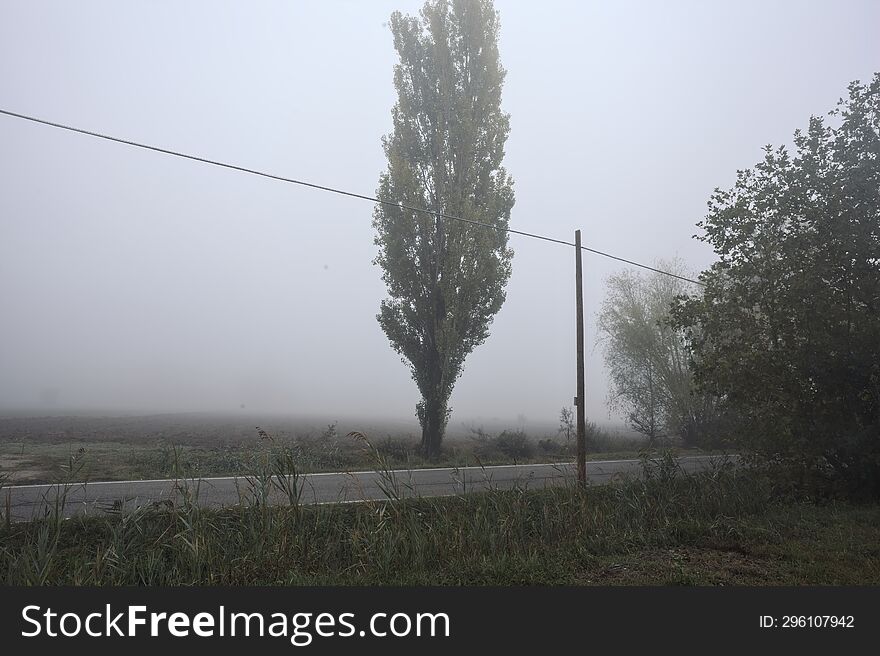 Road Next To Fields With Trees At Its Edge On A Foggy Day In The Italian Countryside