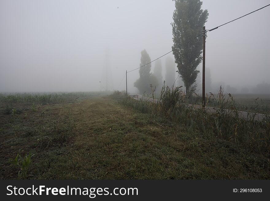 Narrow road bordered by a few trees and trenches with weirs on a foggy day in the italian countryside