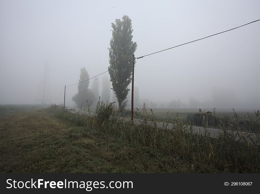 Narrow Road Bordered By A Few Trees And Trenches With Weirs On A Foggy Day In The Italian Countryside