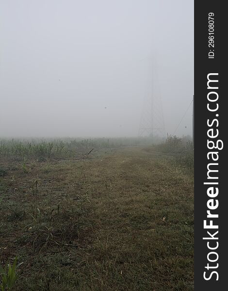 Electricity pylon in a field on a foggy day in the italian countryside