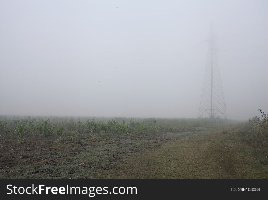 Electricity pylon in a field on a foggy day in the italian countryside