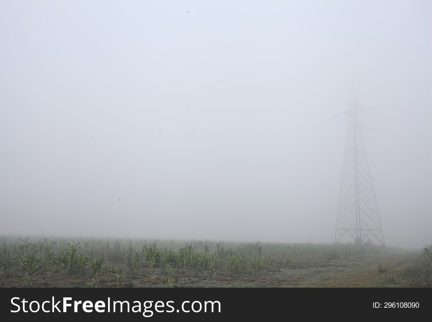 Electricity pylon in a field on a foggy day in the italian countryside