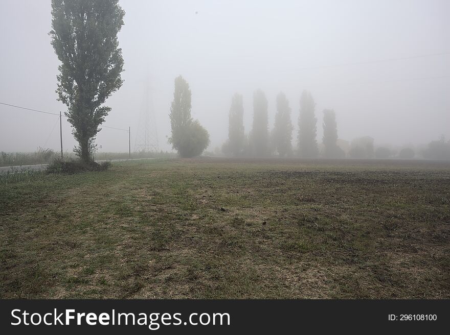 Road Next To Fields With Trees At Its Edge On A Foggy Day In The Italian Countryside