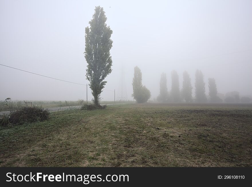 Road Next To Fields With Trees At Its Edge On A Foggy Day In The Italian Countryside