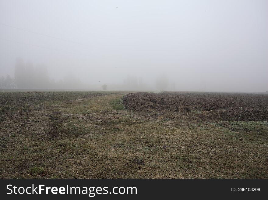 Path In The Fields With Trees In The Distance On A Foggy Day In The Italian Countryside