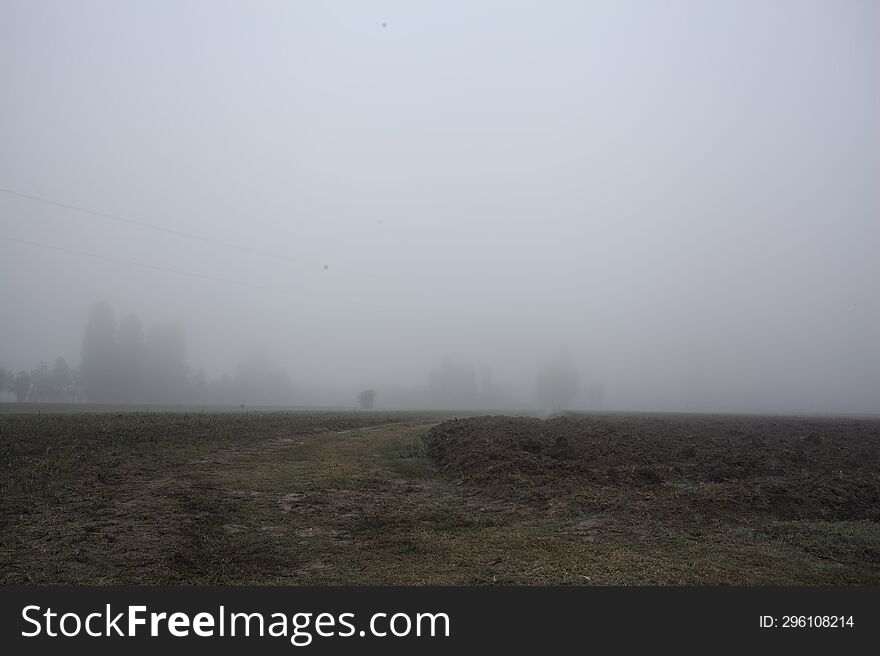 Path in the fields with trees in the distance on a foggy day in the italian countryside