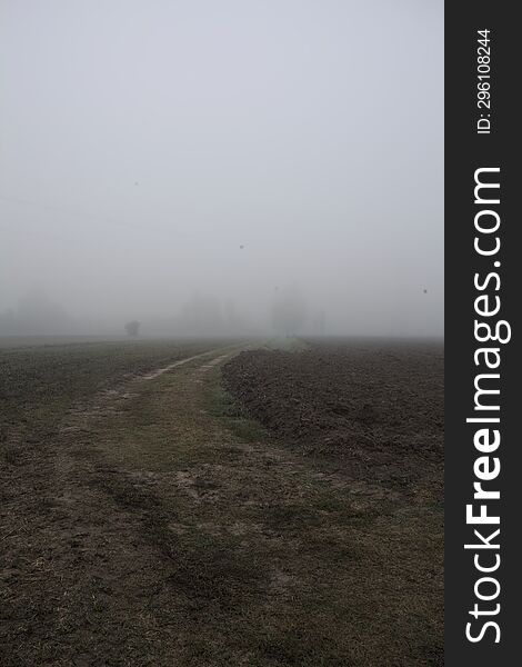 Path in the fields with trees in the distance on a foggy day in the italian countryside