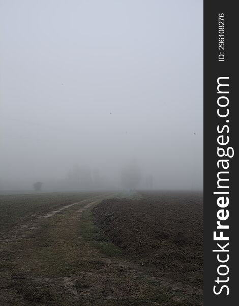 Path in the fields with trees in the distance on a foggy day in the italian countryside