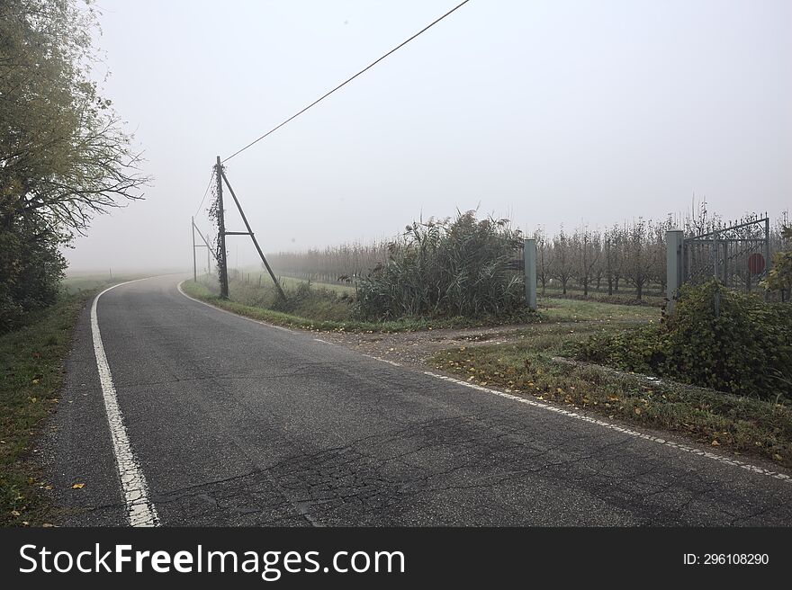 Opened Gate To An Orchard On A Foggy Day In The Italian Countryside