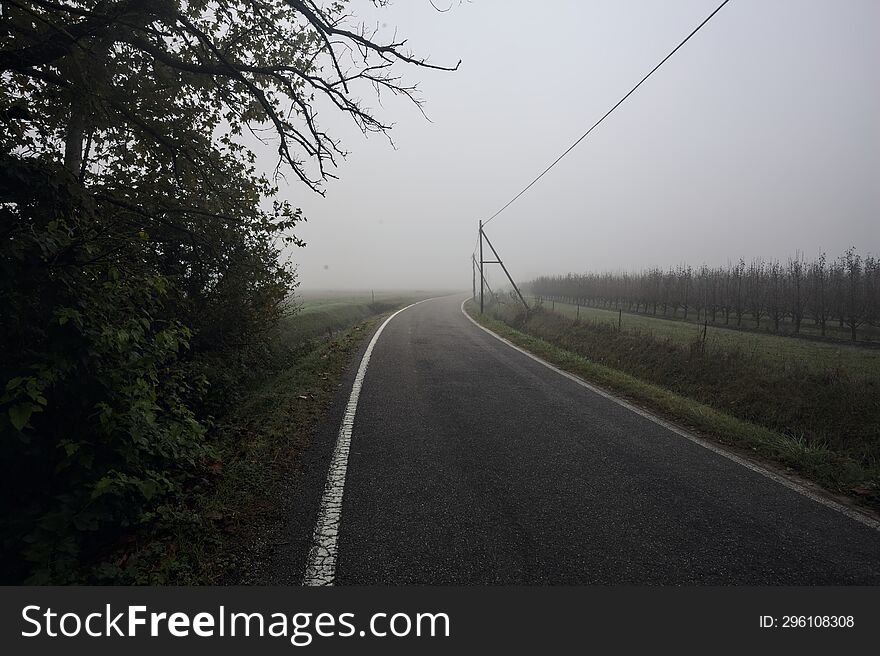 Road next to a field in the italian countryside on a foggy day framed by a tree