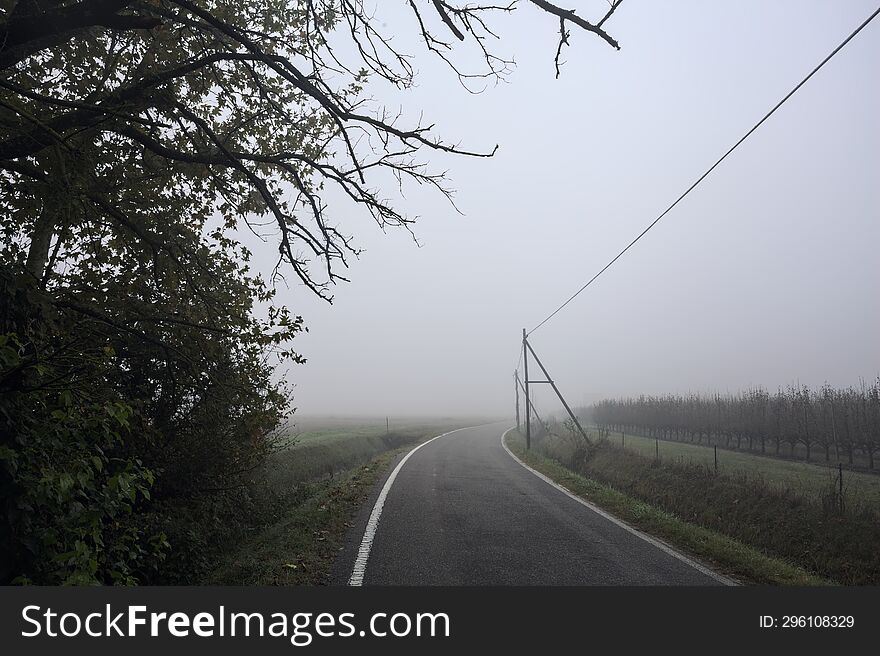 Road next to a field in the italian countryside on a foggy day framed by a tree