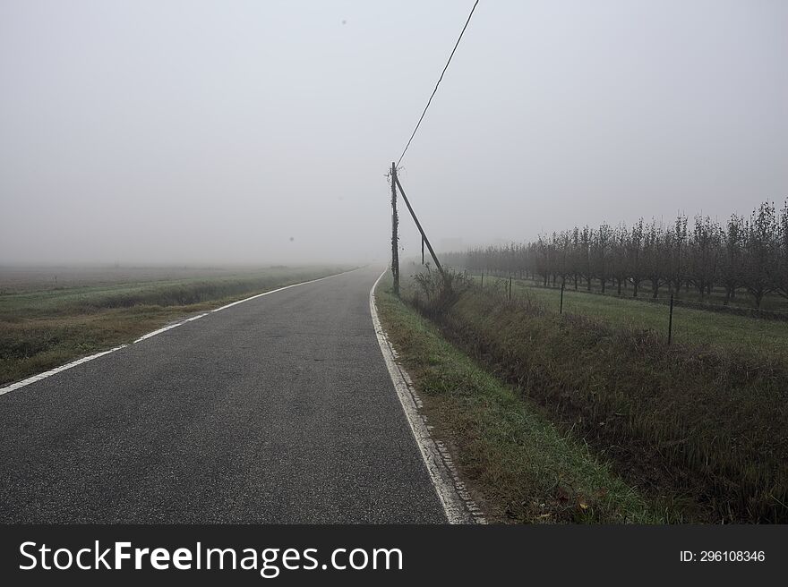 Road bordered by a trench and a power line next to fields on a foggy day in the italian countryside