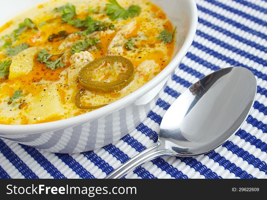 Chicken and vegetable soup with spoon closeup. Chicken and vegetable soup with spoon closeup