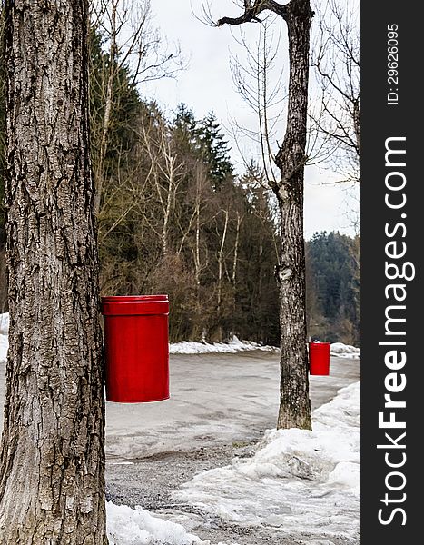 The red colored Trash cans mounted on the trees looked really innovative and attractive. The red colored Trash cans mounted on the trees looked really innovative and attractive.