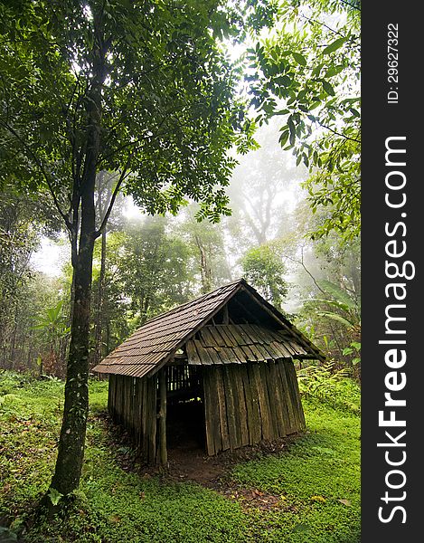 Old wood cabin in the forest with mist