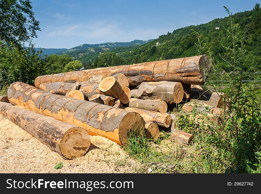 Lumber on roadside with sawdust in front of mountains background. Lumber on roadside with sawdust in front of mountains background