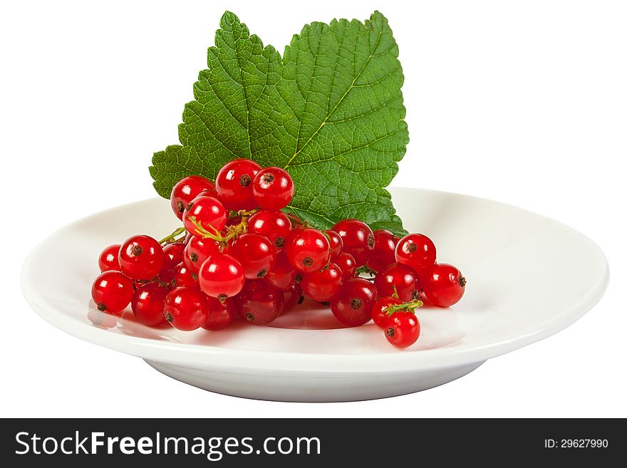 Isolated wet redcurrant with green leaf on white plate close