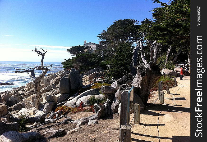 Ocean, driftwood and rocks in a park near Monterey Califonia. Ocean, driftwood and rocks in a park near Monterey Califonia.