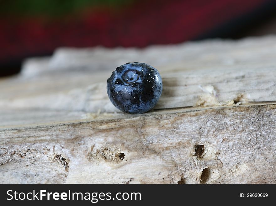 Single blueberry on a piece of driftwood