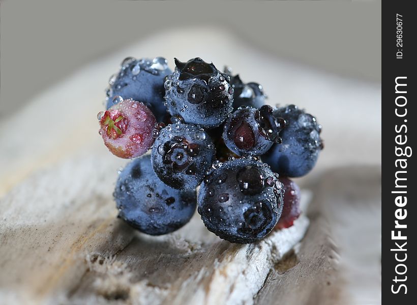 Bunch of blueberries on a peice of driftwood. Bunch of blueberries on a peice of driftwood