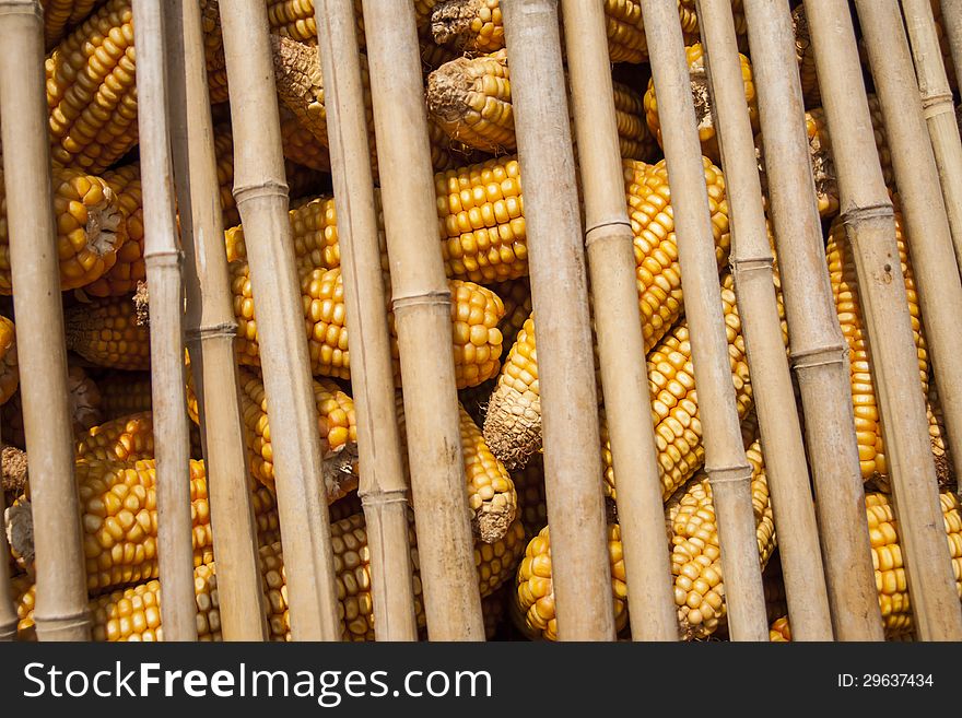 Dried corn in the bamboo storage