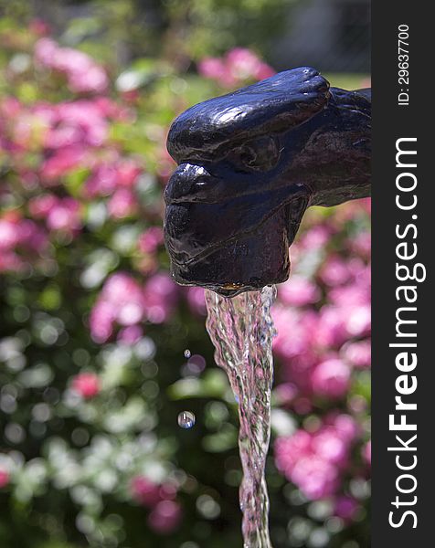 Old iron fountain with flowers in background. Old iron fountain with flowers in background