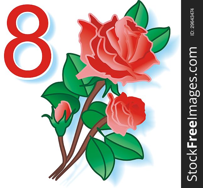8 March day ilustrstion iv vector format. International Womens Day. 8 in March. Number 8, a bouquet of three red roses on a white background.