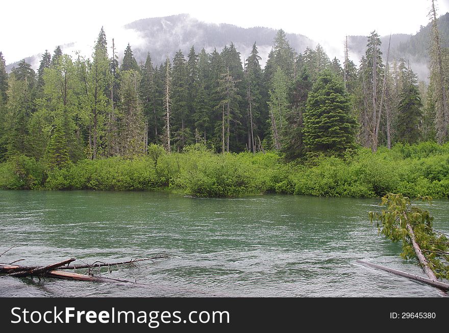 Tree in the lake with a mountain background. Tree in the lake with a mountain background