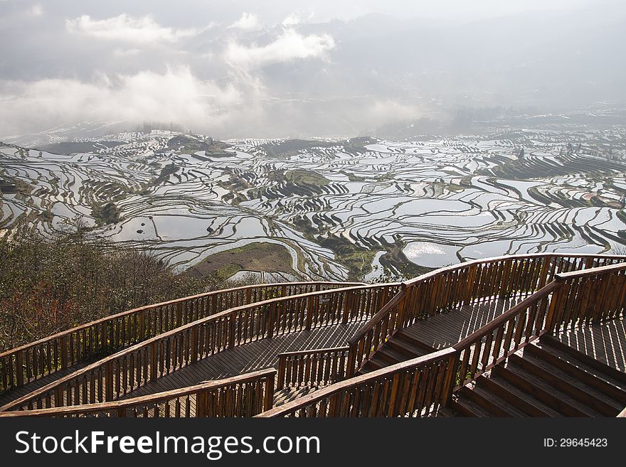 Wooden terrace over the multi-level rice field, Yuanyang, China