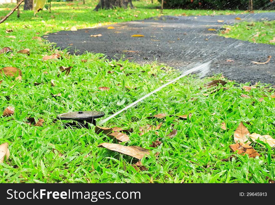 Water sprinkler in the green grass field