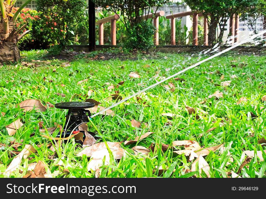 Water sprinkler in the green grass field