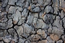 Crack Dirt Royalty Free Stock Images