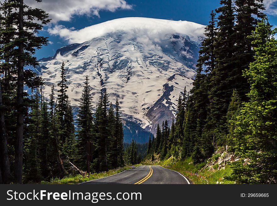 Road To The Majestic Mount Rainier.