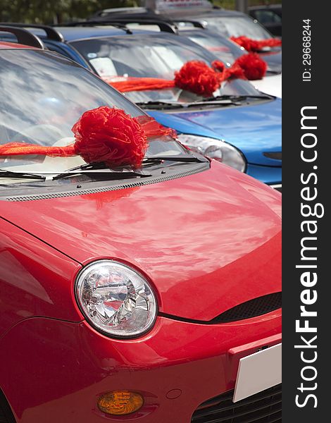 New cars with red flowers for sale