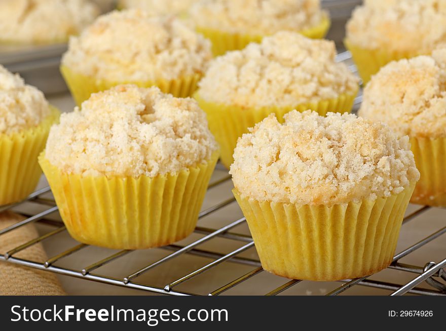 Closeup of lemon muffins on a cooling rack. Closeup of lemon muffins on a cooling rack