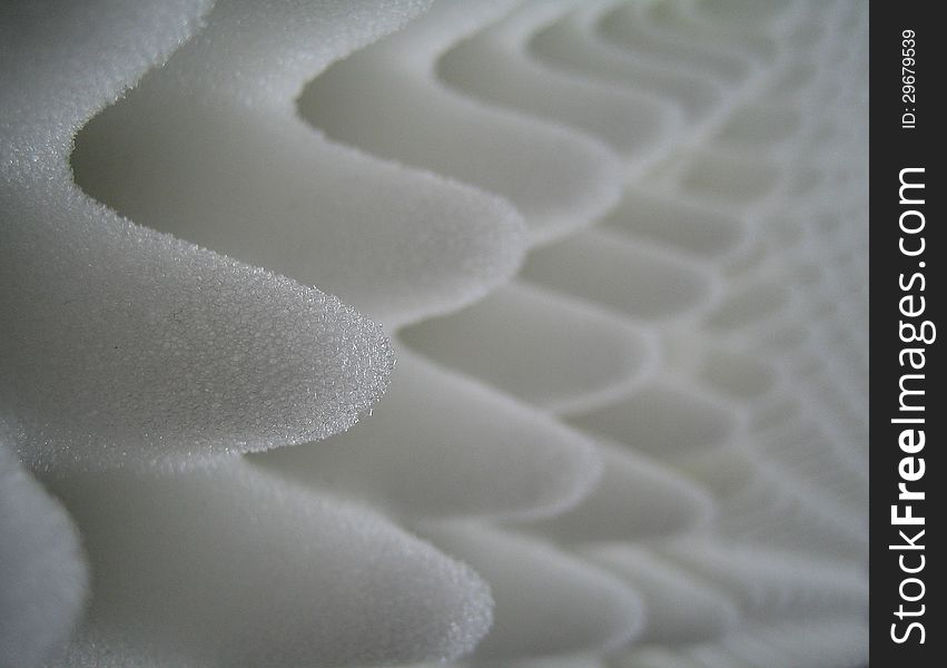 Photo shows a close-up sponge. Photo shows a close-up sponge.