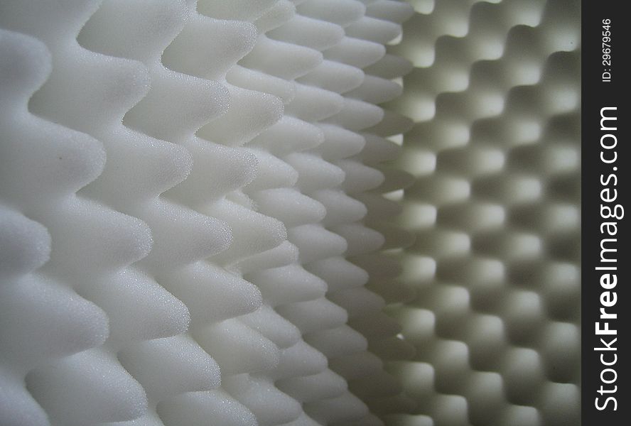 Photo shows a close-up sponge. Photo shows a close-up sponge.