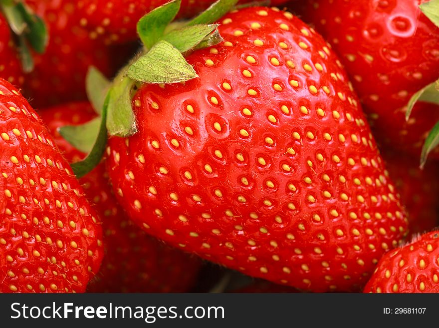 Fresh Strawberries